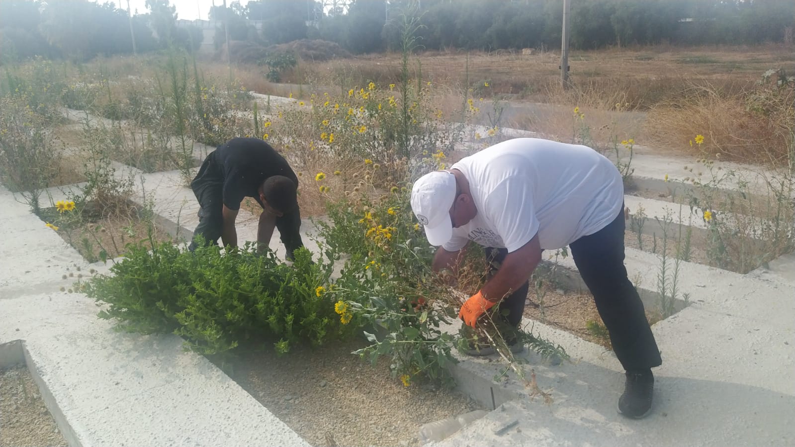 WhatsApp Image 2021-07-10 at 9.38.32 AM.jpeg